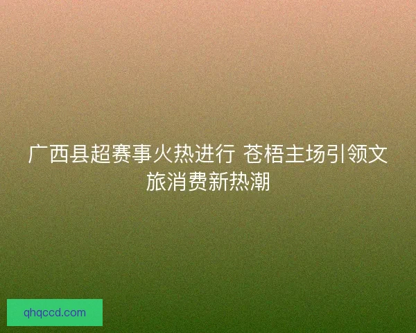 广西县超赛事火热进行 苍梧主场引领文旅消费新热潮