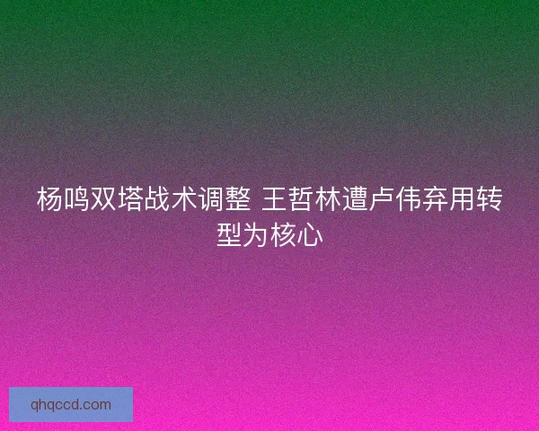 杨鸣双塔战术调整 王哲林遭卢伟弃用转型为核心